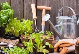 Gartengeräte und eine große Auswahl an Pflanzen