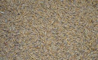 Oestreich Gartenbedarf - Galerie