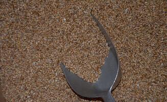 Oestreich Gartenbedarf - Galerie