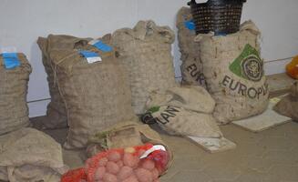 Oestreich Gartenbedarf - Galerie