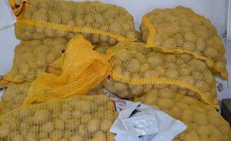 Oestreich Gartenbedarf - Galerie