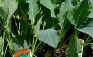 Oestreich Gartenbedarf